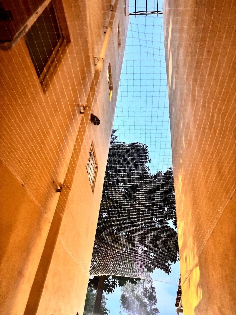 Building Safety Nets